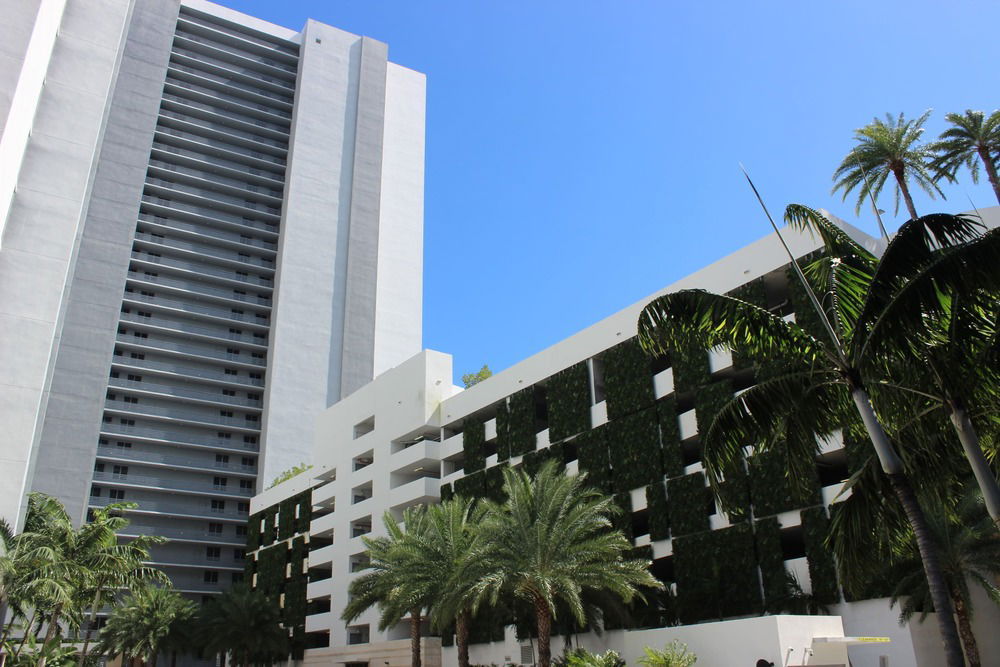 The Harbour  photo 3